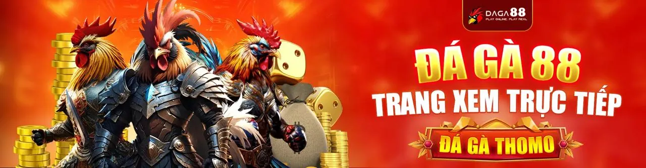 Đá Gà Trực Tuyến Mostbet APK - Sân Chơi Hấp Dẫn