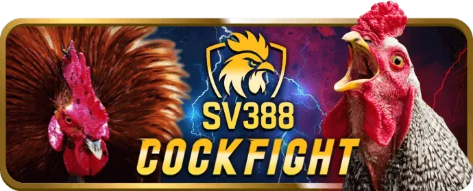 Ưu đãi và Khuyến mãi độc quyền của Mostbet APK